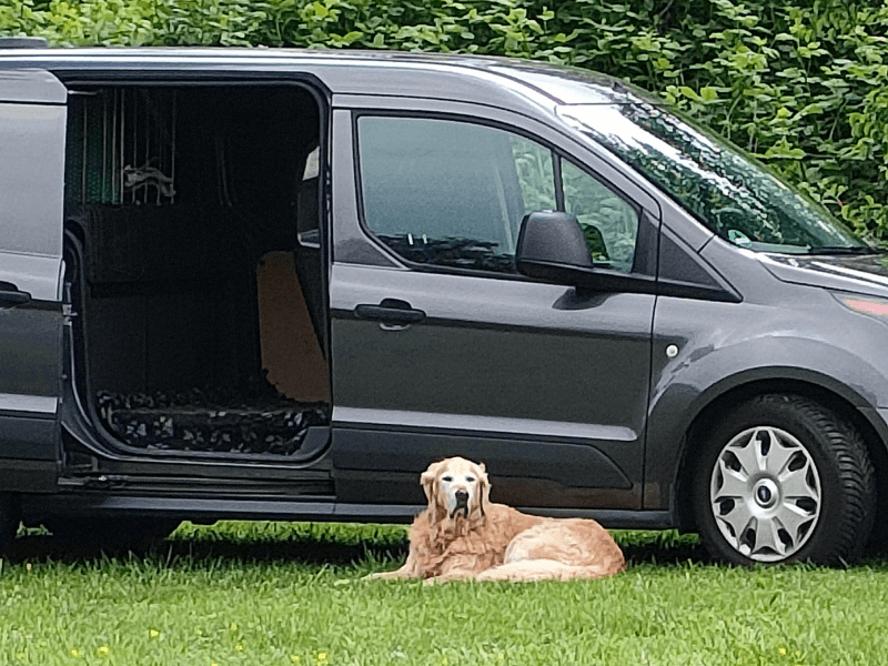 Du kannst die FreiSchnauze Hundewiesen in Tangstedt und Ellerhoop flexibel buchen – einmalig, regelmäßig und sogar ganz spontan.